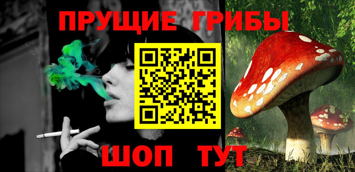 Псилоцибиновые грибы Cubensis  Псилоцибиновые грибы Psilocybine cubensis  Вход с VPN  Ухта 