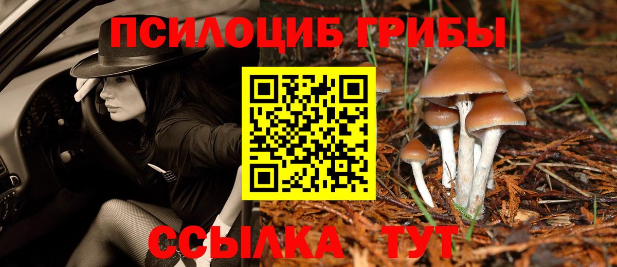 Псилоцибиновые грибы мухоморы Ухта